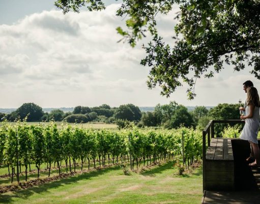 UK Day Trips: Vineyard Tours & Picnics at Gusbourne Winery in Kent day trip to a winery in the UK