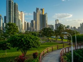 Pedestrian overpassin the Cinta Costera/ walkway with city skyline background and palm trees , Panama City , Central America