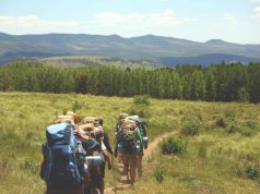 Essential Things Every Hiker Should Have group hiking through a meadow
