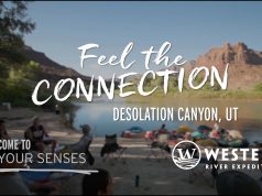 Why People Thirst for Meaningful Travel