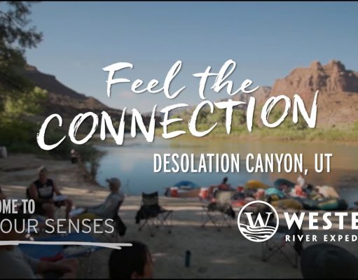 Why People Thirst for Meaningful Travel