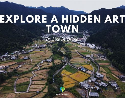 Cycle Through a Hidden Art Town in Southern Osaka, Japan