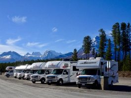 A GROUP OF RENTAL RVs
