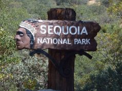 Visit Visalia invites visitors to have a “Big Adventure on Us” Sequoia & Kings Canyon National Parks