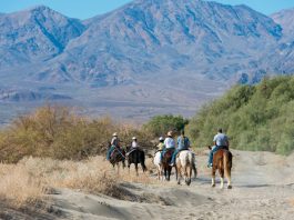 riding horses in death valley usa