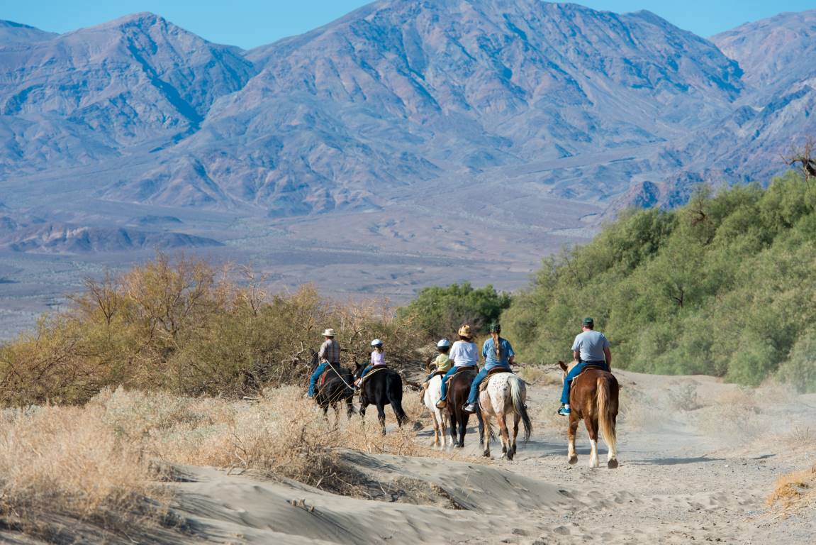 riding horses in death valley usa