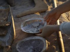 Sydney Aboriginal Experiences Women learning about Aboriginal culture on a tour with Aboriginal