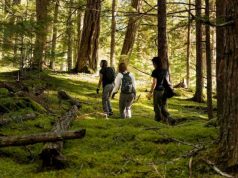 BC Lodge Takes Action In Time For World Environment Day walking in the great bear rainforest