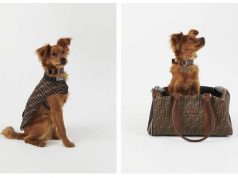 FENDI for You Pet – They Deserve the Best FENDI pet travel set