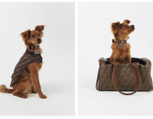 FENDI for You Pet – They Deserve the Best FENDI pet travel set