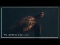 Little Emperors, The Best Kept Secret in Travel