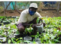 Antigua & Barbuda – Paving the Way for Sustainable