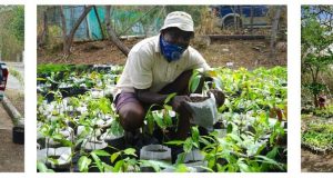 Antigua & Barbuda – Paving the Way for Sustainable