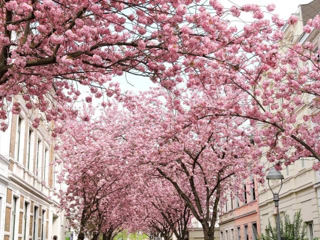 place to visit in germany in summer