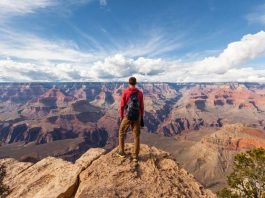 man standing looking over the Grand Canyon