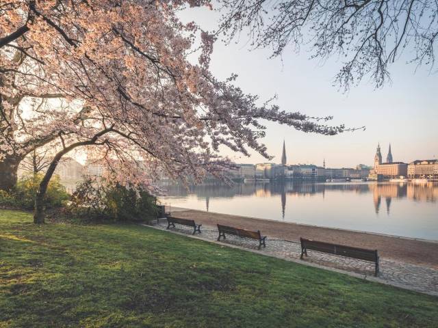 place to visit in germany in summer