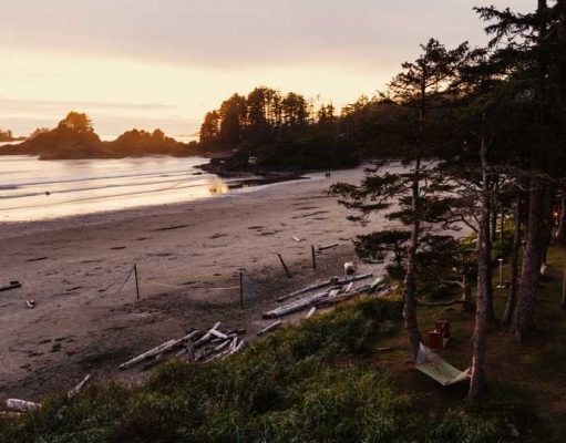 Pacific Sands Beach Resort Introduces New Environmental Ambassador PACIFIC SANDS BEACH RESORT