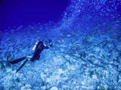 How to choose the best dive gear for your needs