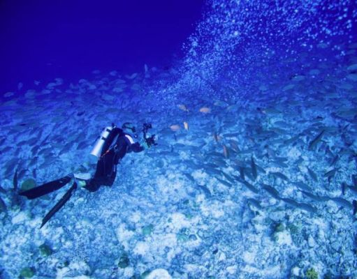 How to choose the best dive gear for your needs