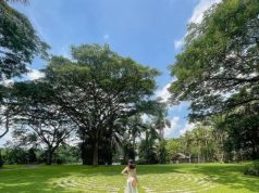 10 Reasons The Farm is the Best Place to Visit Now The Farm at San Benito