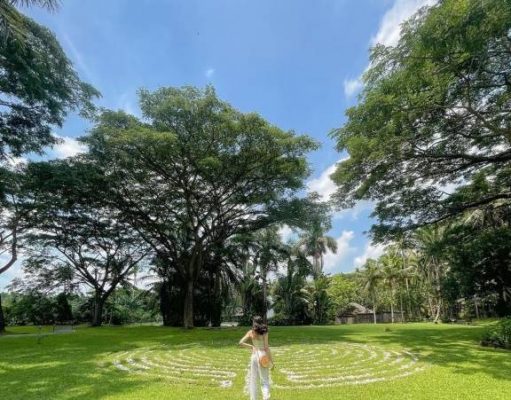 10 Reasons The Farm is the Best Place to Visit Now The Farm at San Benito