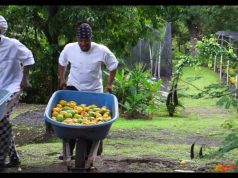 Mango Madness Festival at Jade Mountain & Anse Chastanet, St Lucia