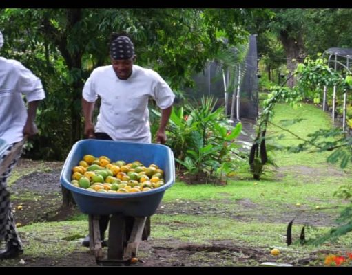 Mango Madness Festival at Jade Mountain & Anse Chastanet, St Lucia