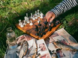 playing chess while on a picnic