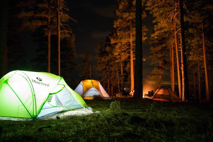 tents camping in the woods at night