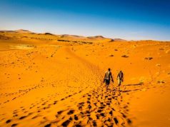 Enhance Your Travel Experiences: Find a Travel Guide