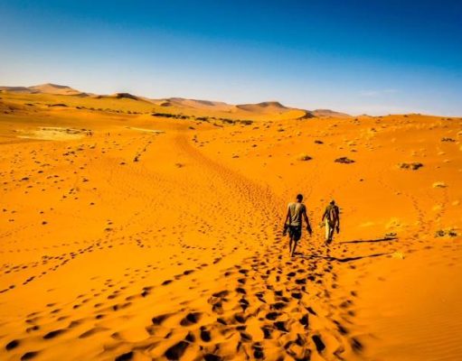 Enhance Your Travel Experiences: Find a Travel Guide