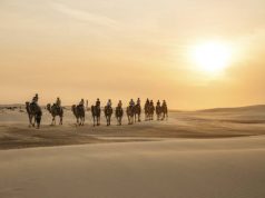 Dreaming About Newcastle and Beyond