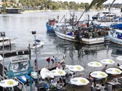 New South Wales Oyster Trail: Top to Bottom Sydney Fish Market at Pyrmont