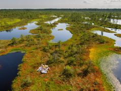 10 Things You Didn’t Know About Estonia Zacek picnic in the bog