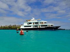 This Might Be the Best Time to Visit the Galapagos International Galapagos Tour Operators Association