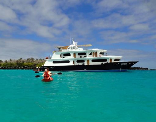 This Might Be the Best Time to Visit the Galapagos International Galapagos Tour Operators Association