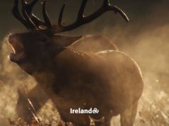 Ireland’s noises of nature