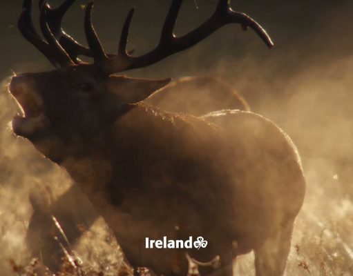 Ireland’s noises of nature
