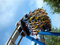 Five Fun Activities To Do On Your Next Holiday