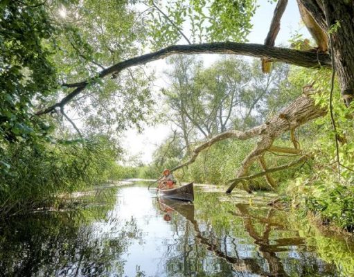 Campaign ‘Feel Good’ promotes sustainable travel in Germany Mescherin:Woman with dog is canoeing; at the Oder