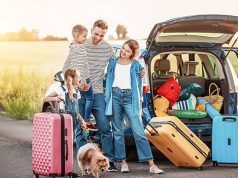 6 Tips for a Pet-Friendly Vacation family traveling with their pet