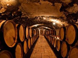 old wine cellar with wine barrels