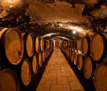 old wine cellar with wine barrels