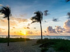 Eco-Friendly Florida