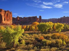 Short List Of Autumn Fun – Zip Lining, River Rafting and Hummer Tours