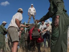 Project Ranger Fundraising the African Conservation Workers