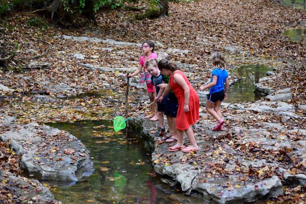 kids playing near a stream