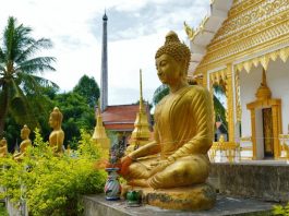 Buddha Temple Religion Statue