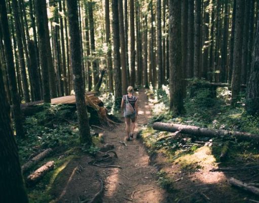 9 Safety Precaution Tips for Your Next Hiking Trip girl hiking on a forest path