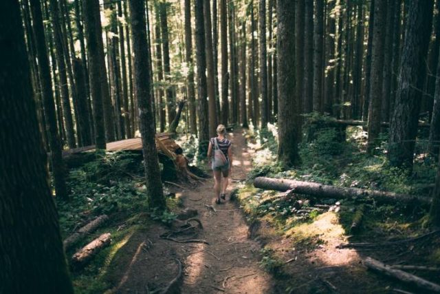 girl hiking on a forest path